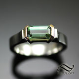 Tourmaline in Gold and Silver - 9mm bar cut