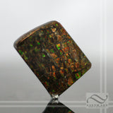 Bright Ammolite - 32 carats - Loose gemstone - Dragonscale