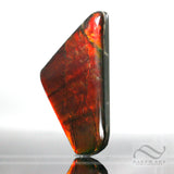 Red Ammolite 84 carats