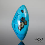 Chrysocolla From the Ray Mine - Arizona