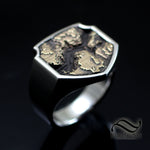 Yosemite Topo Signet ring - Sterling and Bronze