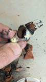 Fire Agate in Rough Signet Ring - Sterling and 14k