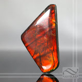 Red Ammolite 84 carats
