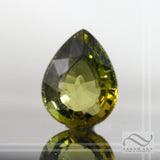 Tourmaline - Large Green Pear 7.0 carats