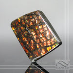 Bright Ammolite - 32 carats - Loose gemstone - Dragonscale