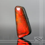 Ammolite 15.3 carats - Smooth Red Cabochon
